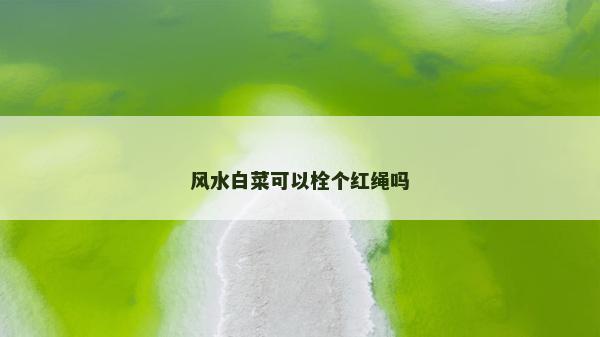 風(fēng)水白菜可以栓個(gè)紅繩嗎