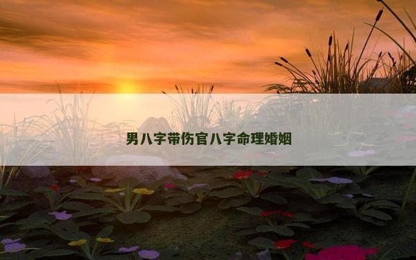 男八字帶傷官八字命理婚姻