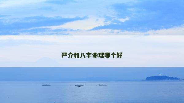 嚴(yán)介和八字命理哪個(gè)好