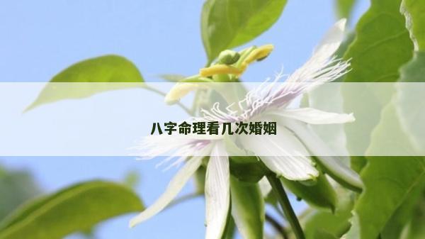 八字命理看幾次婚姻