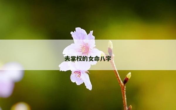 夫掌權的女命八字