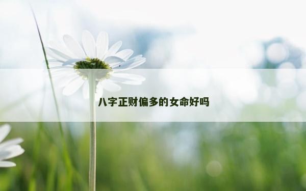 八字正財偏多的女命好嗎