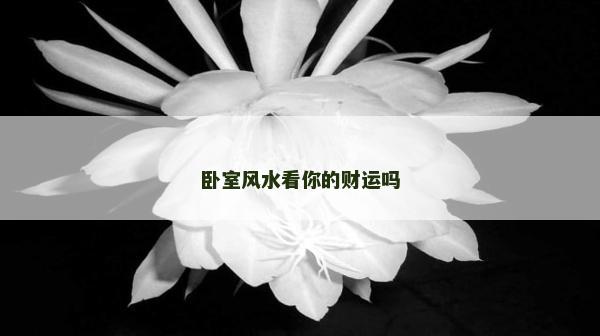 臥室風(fēng)水看你的財(cái)運(yùn)嗎