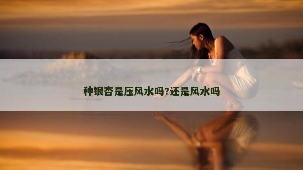 種銀杏是壓風(fēng)水嗎?還是風(fēng)水嗎