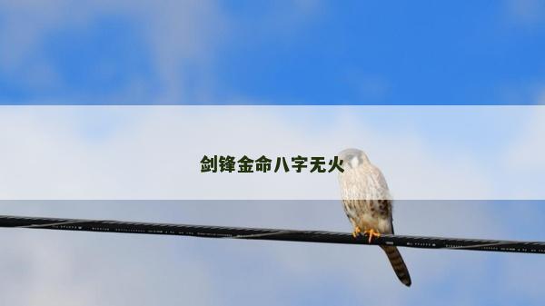 劍鋒金命八字無火