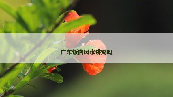 廣東飯店風水講究嗎