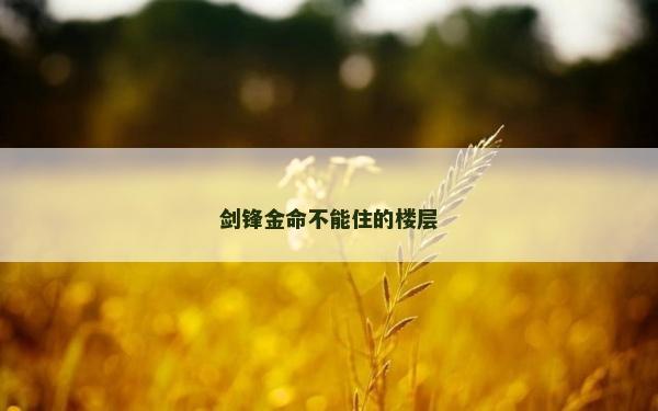 劍鋒金命不能住的樓層