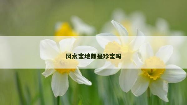 風(fēng)水寶地都是珍寶嗎 風(fēng)水寶地都是珍寶嗎