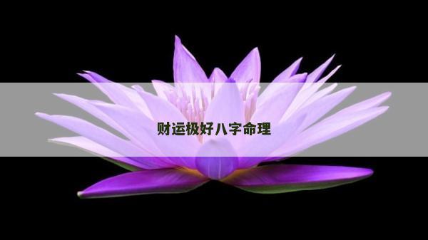 財運極好八字命理
