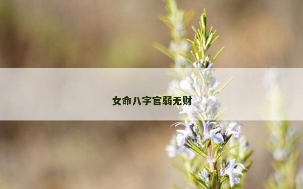 女命八字官弱無財