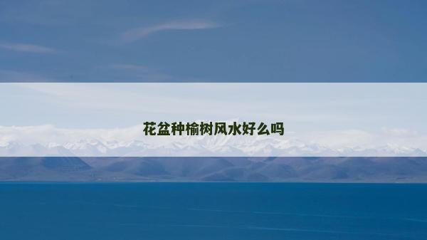 花盆種榆樹風水好么嗎