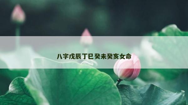 八字戊辰丁巳癸未癸亥女命