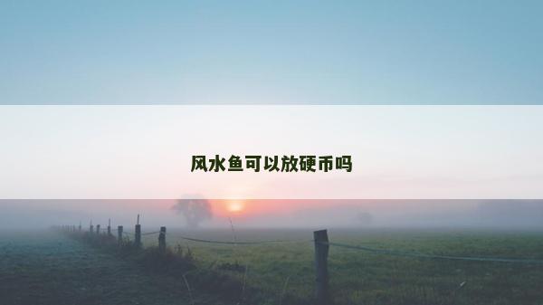 風水魚可以放硬幣嗎