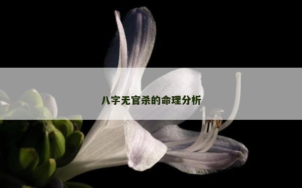八字無官殺的命理分析