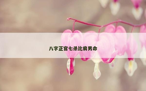 八字正官七殺比肩男命