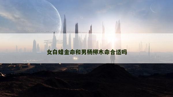 女白蠟金命和男楊柳木命合適嗎
