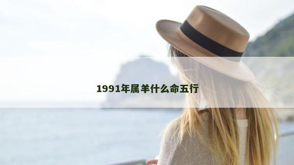 1991年屬羊什么命五行