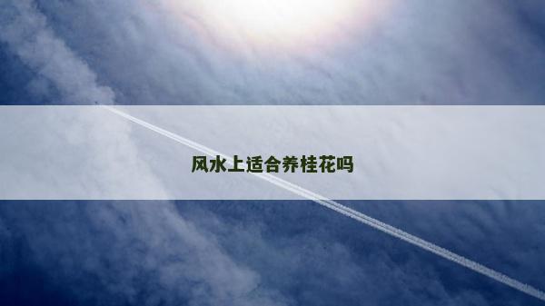 風水上適合養桂花嗎
