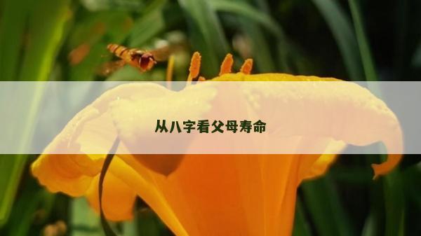 從八字看父母壽命