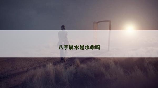 八字屬水是水命嗎