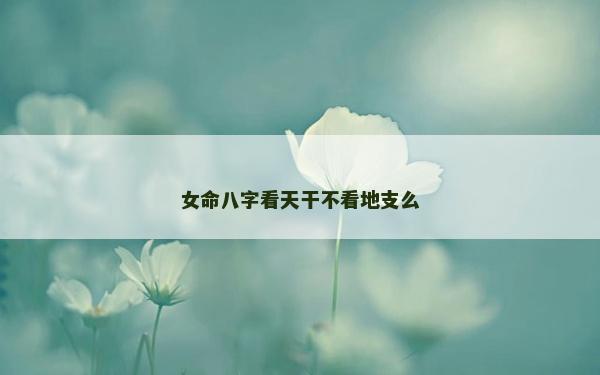 女命八字看天干不看地支么
