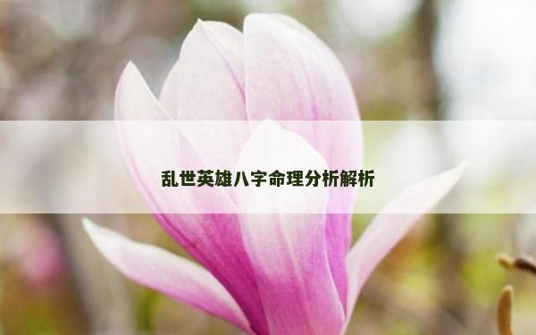亂世英雄八字命理分析解析