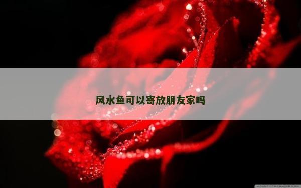 風水魚可以寄放朋友家嗎