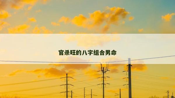 官殺旺的八字組合男命