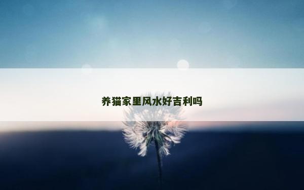 養貓家里風水好吉利嗎