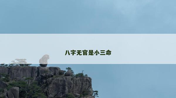八字無(wú)官是小三命