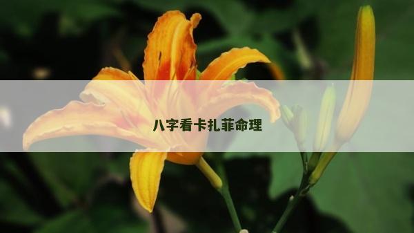 八字看卡扎菲命理
