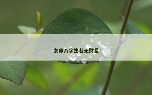 女命八字生若無財星