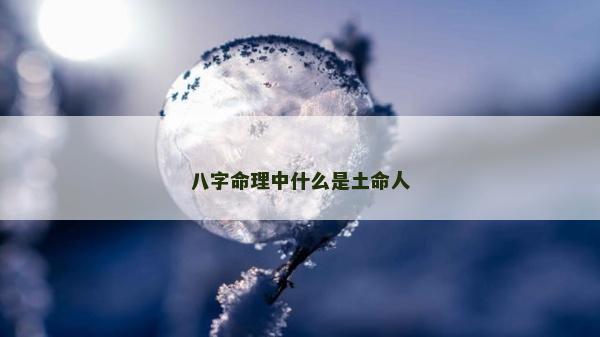 八字命理中什么是土命人