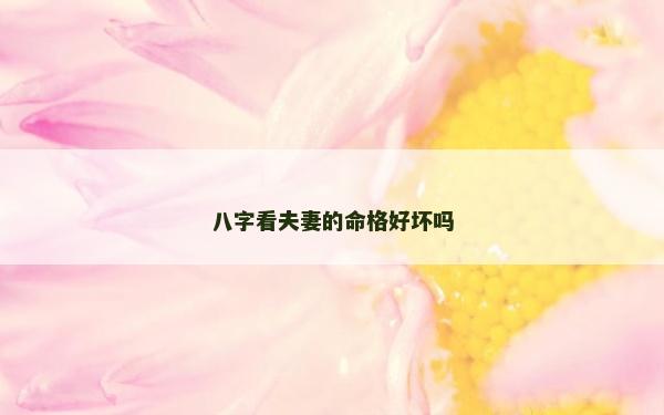 八字看夫妻的命格好壞嗎