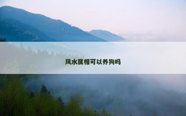 風(fēng)水屬相可以養(yǎng)狗嗎