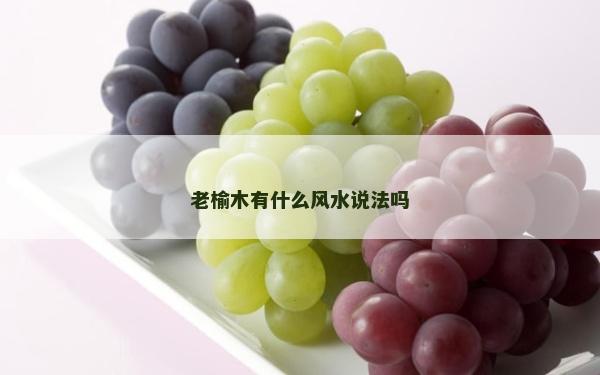 老榆木有什么風水說法嗎