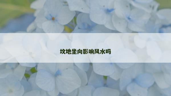 墳地坐向影響風水嗎