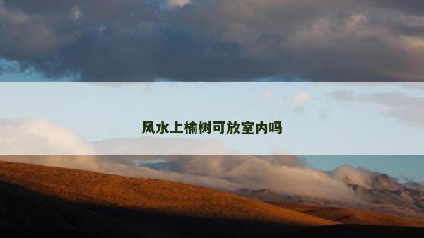 風水上榆樹可放室內嗎