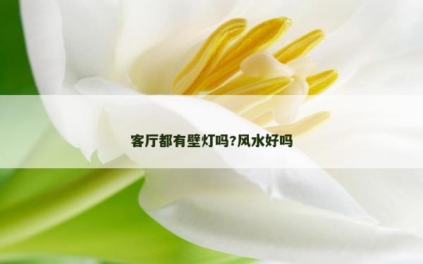 客廳都有壁燈嗎?風水好嗎