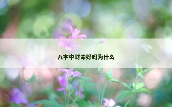 八字中財命好嗎為什么
