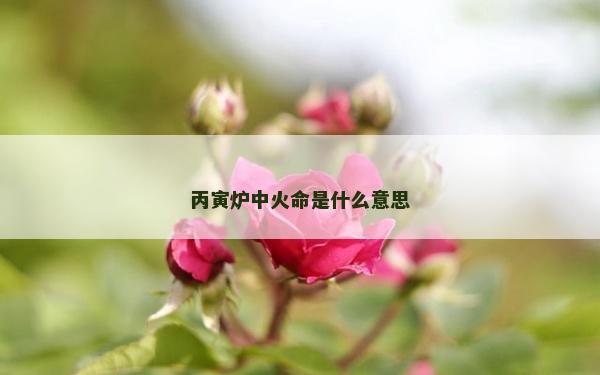 丙寅爐中火命是什么意思