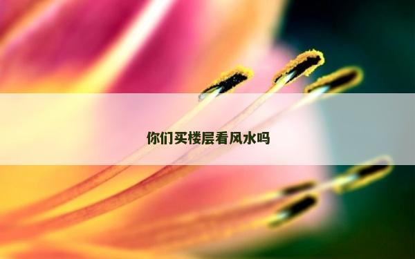 你們買樓層看風(fēng)水嗎