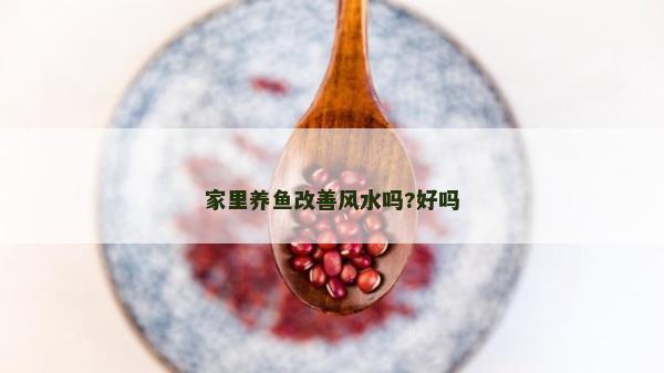 家里養魚改善風水嗎?好嗎