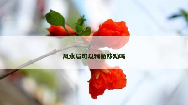 風水局可以稍微移動嗎
