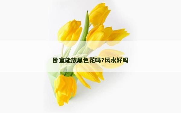 臥室能放黑色花嗎?風水好嗎