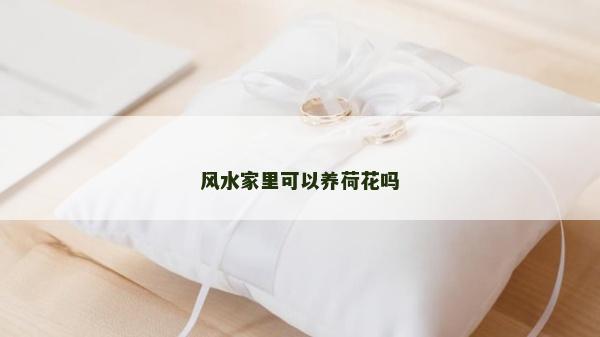 風(fēng)水家里可以養(yǎng)荷花嗎