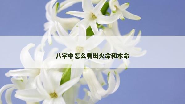 八字中怎么看出火命和木命