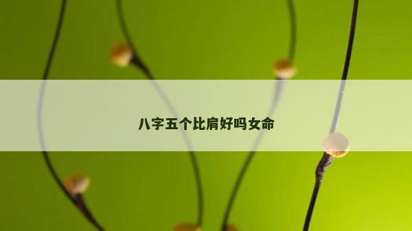 八字五個比肩好嗎女命