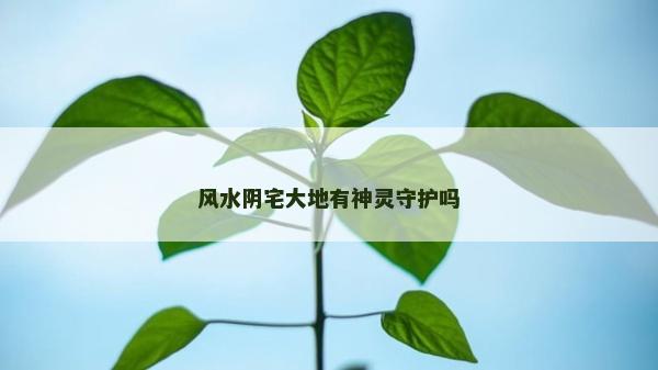 風(fēng)水陰宅大地有神靈守護(hù)嗎