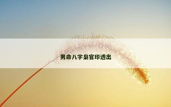 男命八字梟官印透出